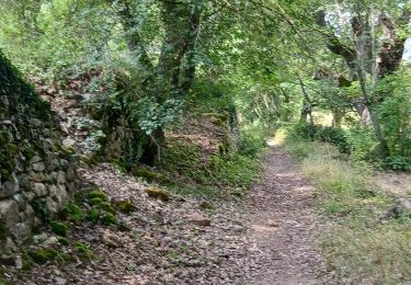 Trail Walking Apt - 84-apt_Saignon_8km270m - Photo