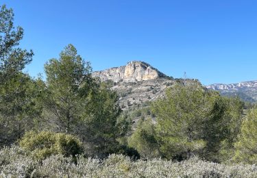 Randonnée Marche Mérindol - PF-Mérindol - Dessus de Mérindol par les Chemins de l'Apied et des Bouigues - Vallon des Porcs - CP - Photo