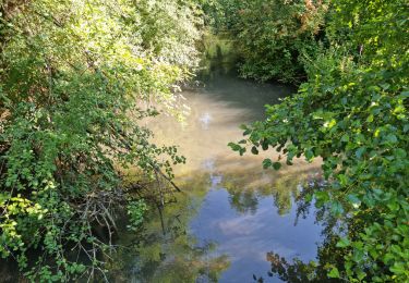 Trail Walking Reugny - Reugny - Vignes et Brenne - Photo