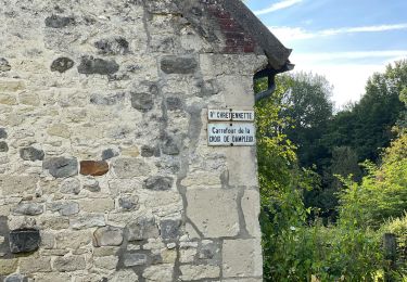Randonnée Marche Villers-Cotterêts - en forêt de Retz_87_la Laie des Masures par la Route Chrétiennette - Photo