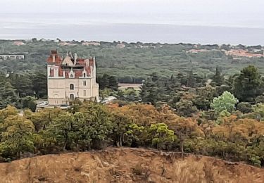 Excursión Senderismo Argelès-sur-Mer - valmy - Photo