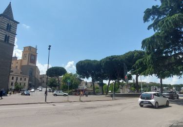 Trail Walking Montefiascone - CR_Francigena_DM_49_Montefiascone_Viterbe_20230602 - Photo