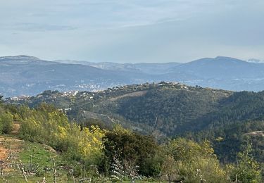 Trail sport Tanneron - Tanneron - Photo