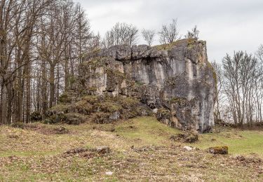 Percorso A piedi Bad Staffelstein - Bittmannstein Rundweg (Bad Staffelstein) - Photo