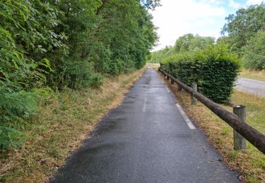 Trail Walking Bouville - Bouville - Photo