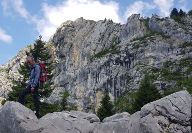 Randonnée Marche Lans-en-Vercors - Pic st Michel - Photo