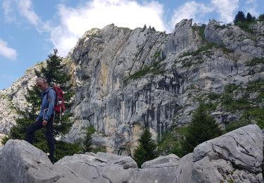 Tour Wandern Lans-en-Vercors - Pic st Michel - Photo