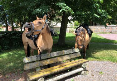 Trail Horseback riding Miannay - Miannay-Tours-Acheux - Photo