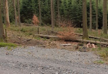 Randonnée Vélo de route La Roche-en-Ardenne - pique nique - Photo