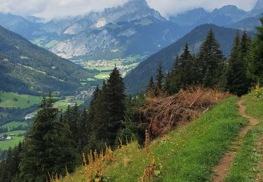 Tour Wandern Châtel - Morclan vers Super Chatel - Photo