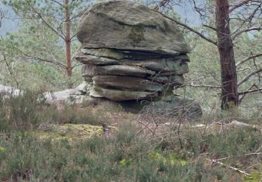 Randonnée Marche Arbonne-la-Forêt - Chanfroy #7 var - Photo