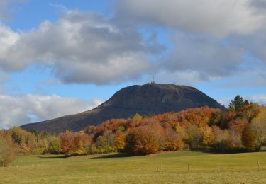 Trail Walking Ceyssat - Ceyssat_Montmeyre - Photo