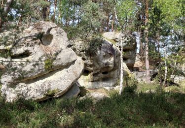 Tour Wandern Fontainebleau - Forêt de Fontainebleau (Achères)  240414 - Photo