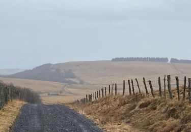 Tocht Stappen Condom-d'Aubrac - Enguilhens - Photo