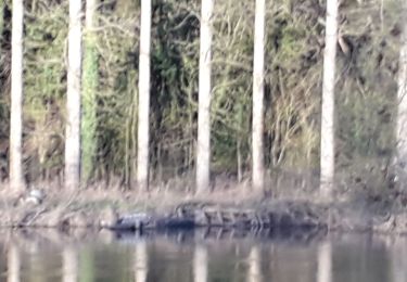 Randonnée Marche Martigné-sur-Mayenne - Écluses Corçu - La Roche  - Photo