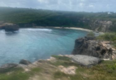 Trail Trail Le Moule - Moule le Litoral - Photo