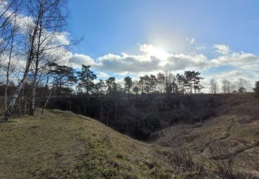 Randonnée Marche Viroinval - rando olloy 1-02-2023 - Photo