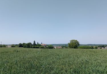 Trail Walking Coulombs-en-Valois - le Clignon - Photo