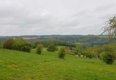 Randonnée Marche Comblain-au-Pont - Comblain-au-Pont - Promena - Photo