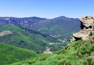 Trail Walking Saint-Gervais-sur-Mare - ITILAR034V50G3KP - Photo