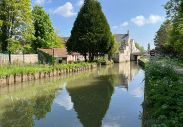 Randonnée Marche Ormoy-le-Davien - 060522 - Ormoy le Davien - La Ferté Milon - Photo