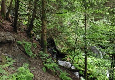Tocht Stappen Mont-Dore - grande cascade du Mont-Dore - Photo