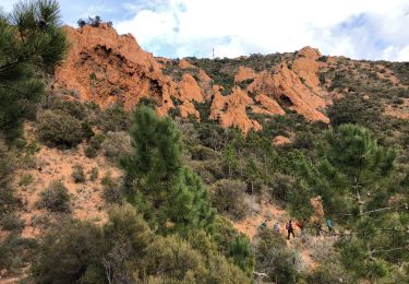 Trail Walking Saint-Raphaël - les Grues, le Mont St Martin depuis les Lentisques - Photo