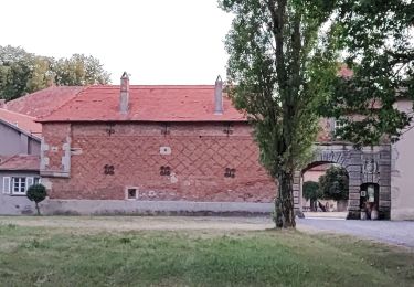 Tocht Stappen Azoudange - Ferme de Milberg - Photo