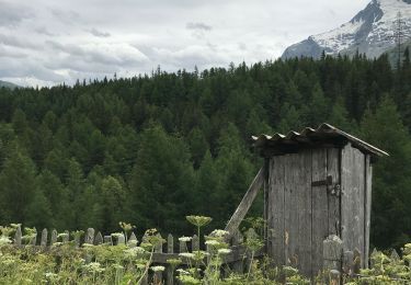 Tocht Stappen Sainte-Foy-Tarentaise - Des bataillettes au monal  - Photo