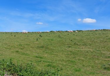 Randonnée Marche Mettet - biesmeree  - Photo