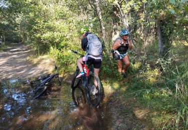 Tour Mountainbike Sainte-Eulalie-en-Born - ste Eulalie  - Photo