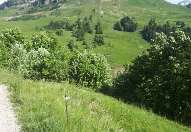 Percorso Marcia Le Grand-Bornand - col vers grand bornand 27/05/22 - Photo