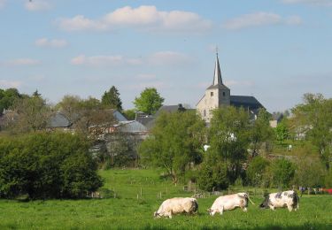 Randonnée A pied La Roche-en-Ardenne - 5. La Clairière - Photo
