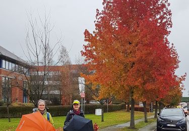 Percorso Marcia Braine-l'Alleud - 2018-11-29 Braine Rhode Waterloo Braine 23 km - Photo