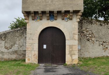 Randonnée Marche Prades - picacha - Photo