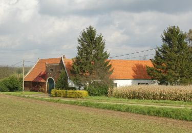 Percorso A piedi Holsbeek - Hagelandse Vallei Rode driehoek - Photo