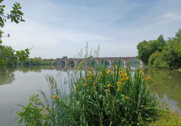 Trail Mountain bike Lauzerte - lauzerte  moissac   miradoux - Photo