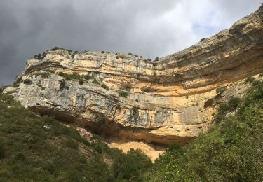 Tocht Stappen Minerve - Minerve - Gorges du Briant par le GR77 - Photo