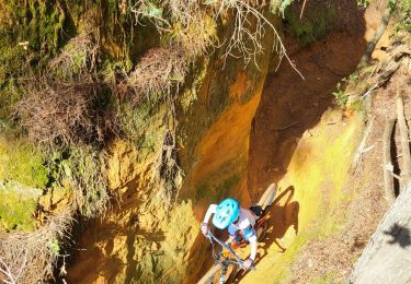Trail Mountain bike Mormoiron - Family Indy Ride - Photo