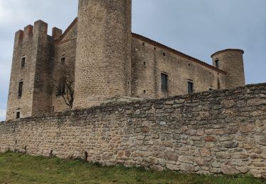 Excursión Senderismo Chambles - Boucle de Cessieux  - Photo