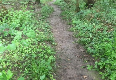 Trail Walking Saint-Lambert - Balade du prieuré, mesnil sevin , la brosse, le prieuré - Photo