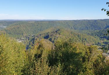 Tocht Stappen Vresse-sur-Semois - Promenade du point de vue des 8 Semois - Photo