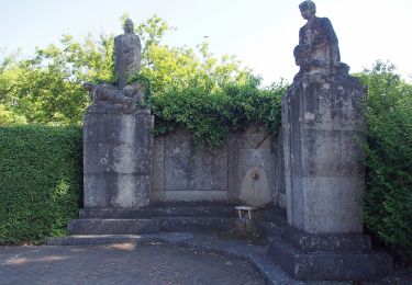 Tour Zu Fuß Eschede - Südheide 'Im Land der Esche' W19k (kurze Tour) - Photo