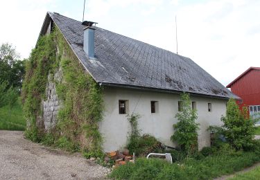 Tocht Te voet Gemeinde Kirchberg an der Pielach - 5/03 Sois-Wanderroute - Photo