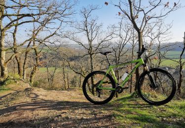 Trail Mountain bike Le Hom - Les_Trois_Châteaux - Photo