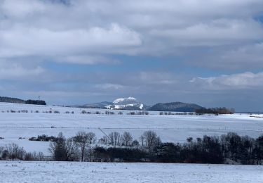 Trail Walking Le Vernet-Sainte-Marguerite - Le puy d’Alou  - Photo