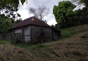 Tour Wandern Entre-Deux - L'entre deux l'arche naturelle  - Photo