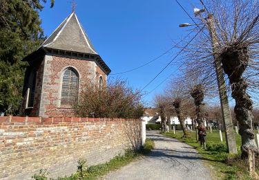 Percorso Marcia Mons - Bois d'Havré - Chapelle du Bon Vouloir - Photo