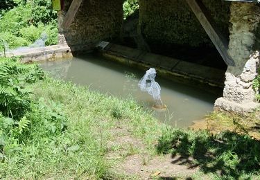 Trail Walking Dampierre-en-Yvelines - boucle de Maintcours - Photo