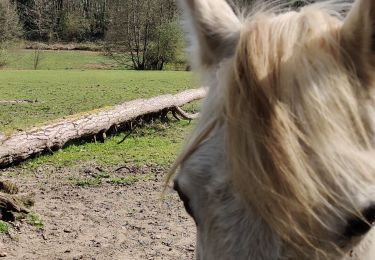 Tour Wandern Saint-Brieuc-des-Iffs - St Brieuc des Iffs - Photo